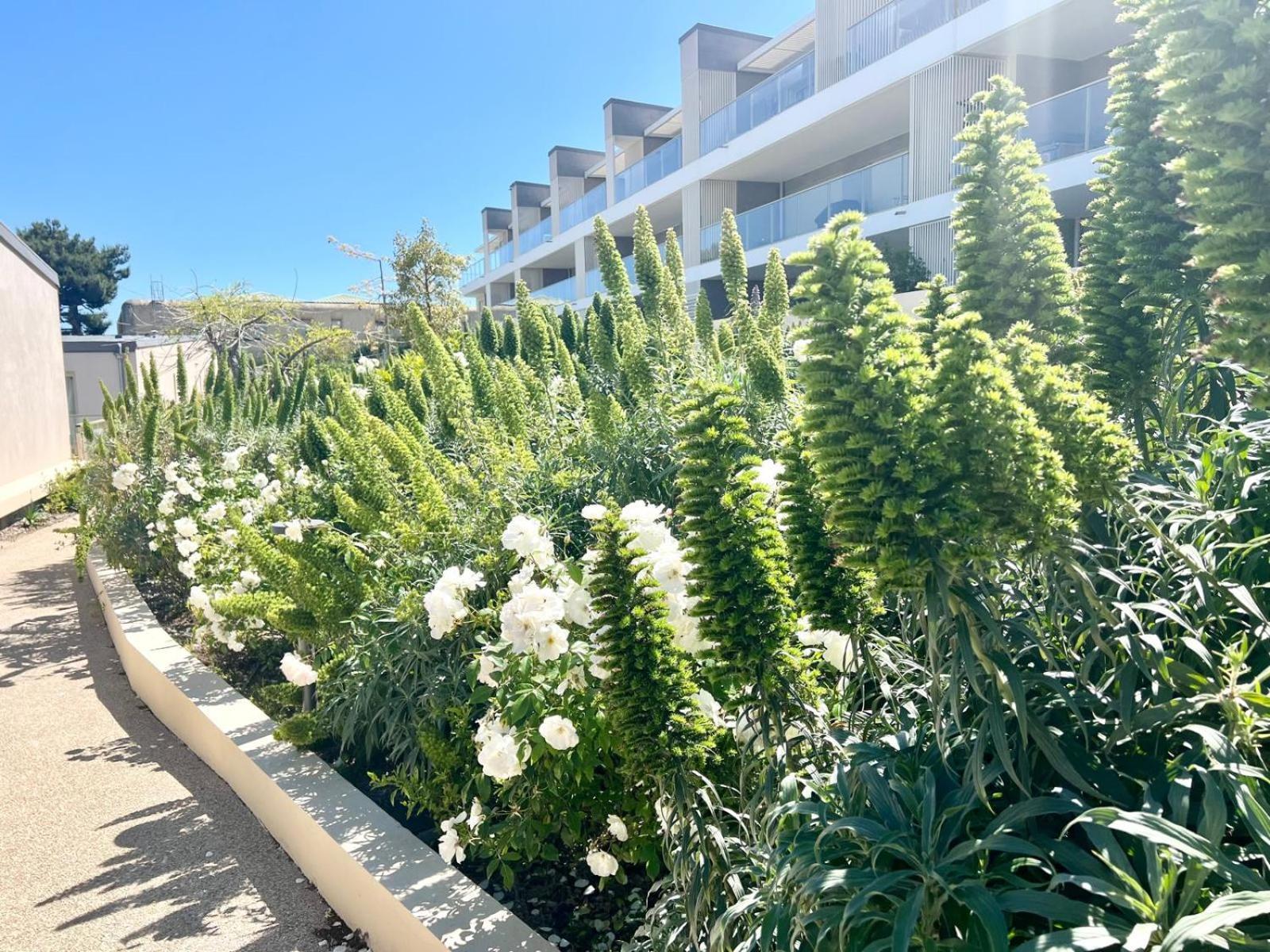 Panoramic Sea View Appartment Blue Pearl Nisa Exterior foto